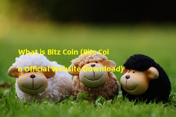 What is Bitz Coin (Bitc Coin Official Website Download)