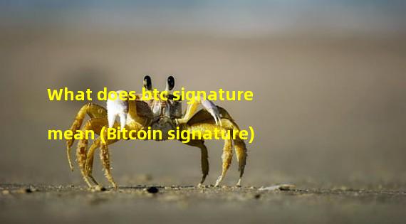 What does btc signature mean (Bitcoin signature)