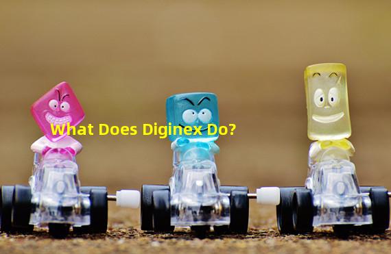 What Does Diginex Do?