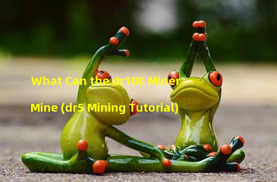 What Can the dr100 Miner Mine (dr5 Mining Tutorial)