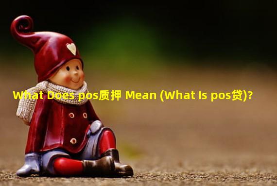 What Does pos质押 Mean (What Is pos贷)?