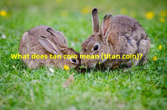 What does tan coin mean (titan coin)?