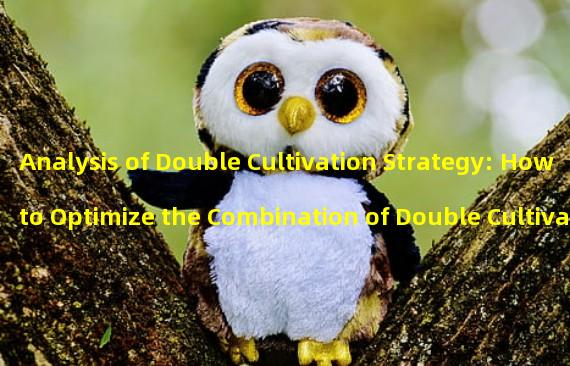 Analysis of Double Cultivation Strategy: How to Optimize the Combination of Double Cultivation Skills in One Thought Free (Start the Road of Double Cultivation: Unique Combination of Double Cultivation Skills in One Thought Free!) 